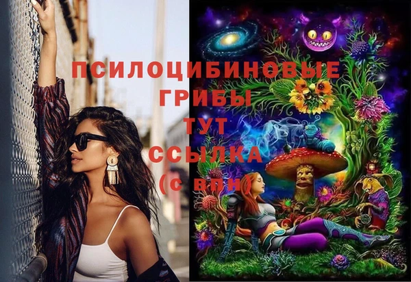 герыч Алексин
