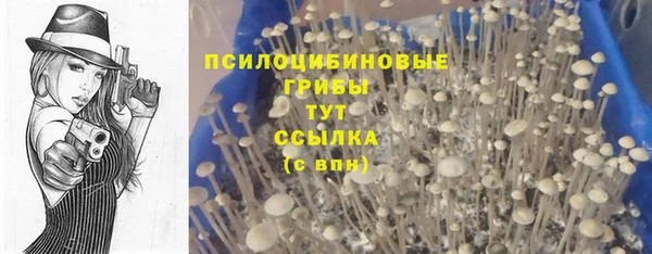 герыч Алексин