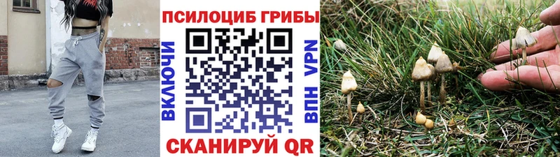 наркотики blacksprut как войти Псилоцибиновые грибы GOLDEN TEACHER Ардатов